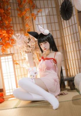 动画片喜羊羊与灰太狼免费观看_720高清完整版
